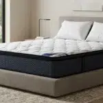 مرتبة سبلينديد