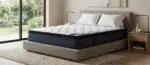 مرتبة سبلينديد